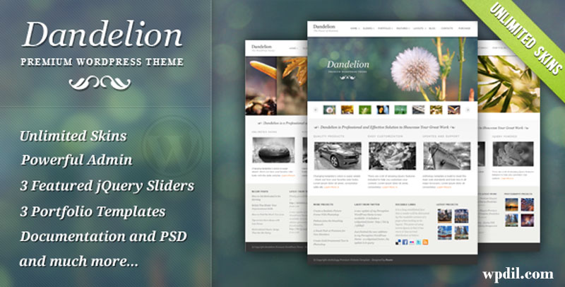 Dandelion,wp,wordpress,creative,themes,theme,creative
